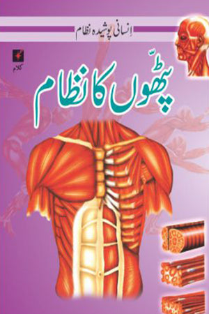 INSANI POSHEEDA NAZAAM: PHATHAON KA NAZAAM