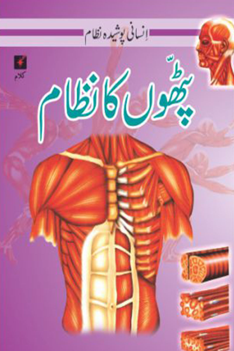 INSANI POSHEEDA NAZAAM: PHATHAON KA NAZAAM