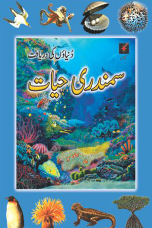 DUNIYAOON KI DARAYAFT: SAMANDARI HAYAT