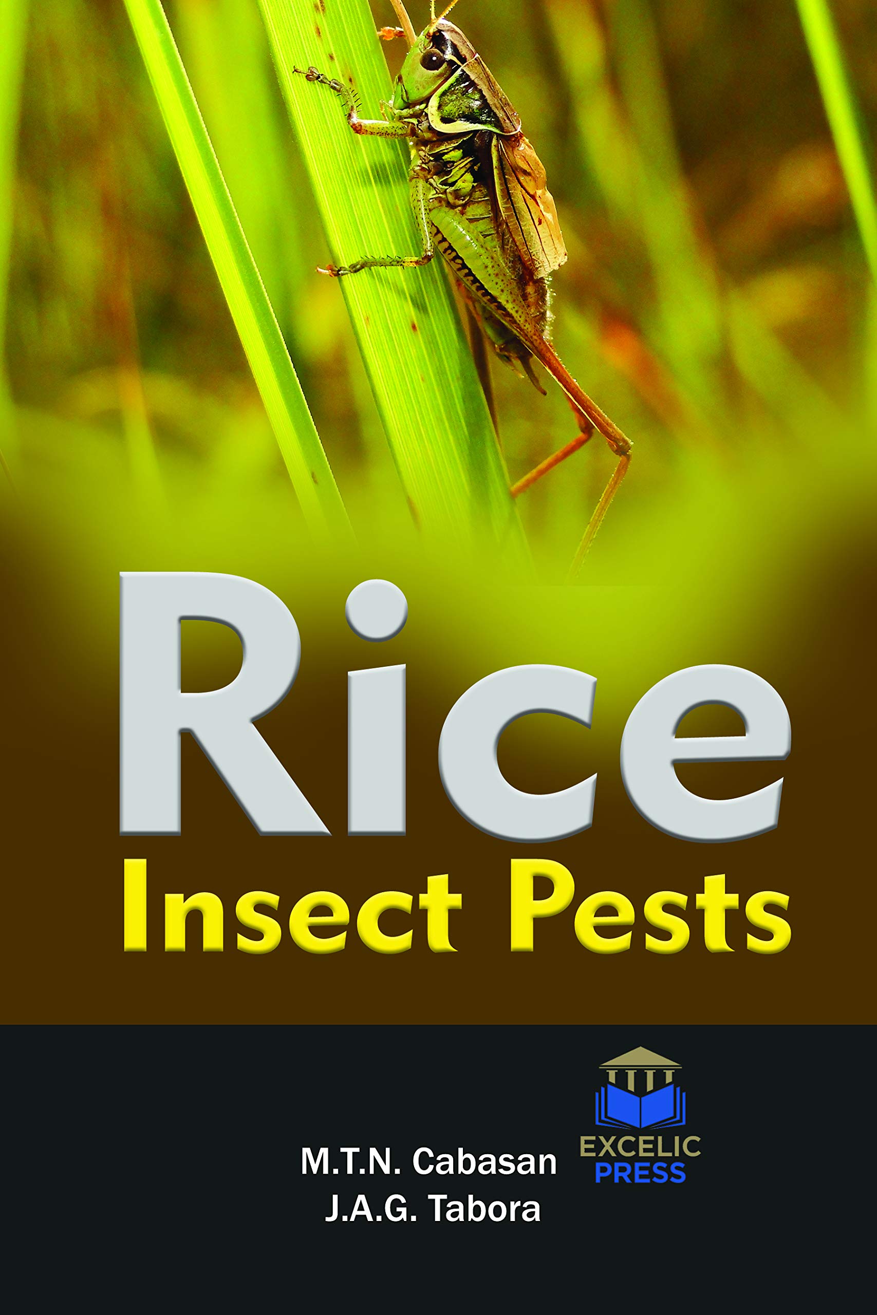 RICE INSECTS – Vanguard Books