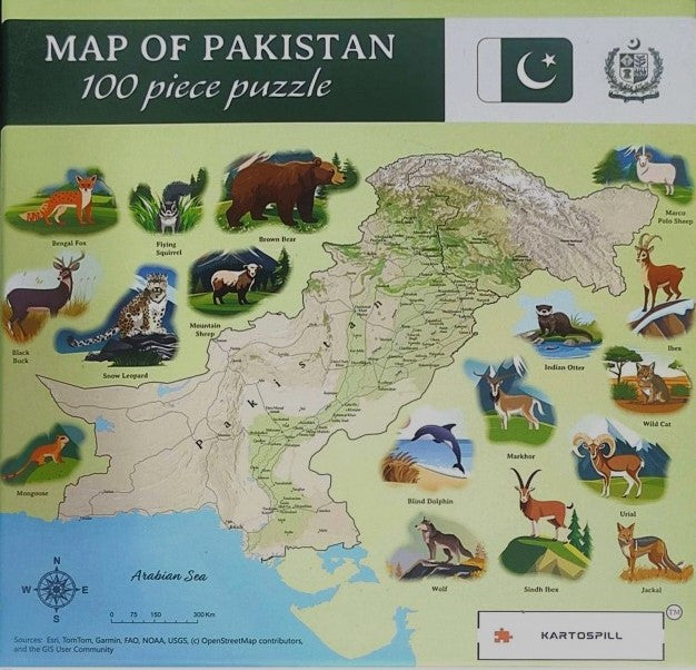 KARTOSPILL MAP OF PAKISTAN 100 PIECE PUZZLE